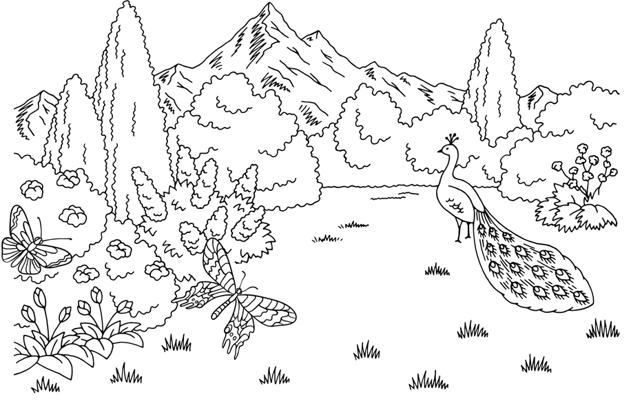 images